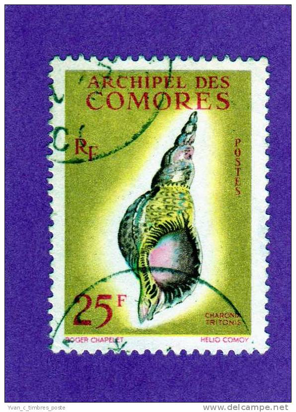 COLONIES FRANCAISES COMORES TIMBRE N° 24 OBLITERE COQUILLAGES CHARONIA TRITONIS - Sonstige & Ohne Zuordnung