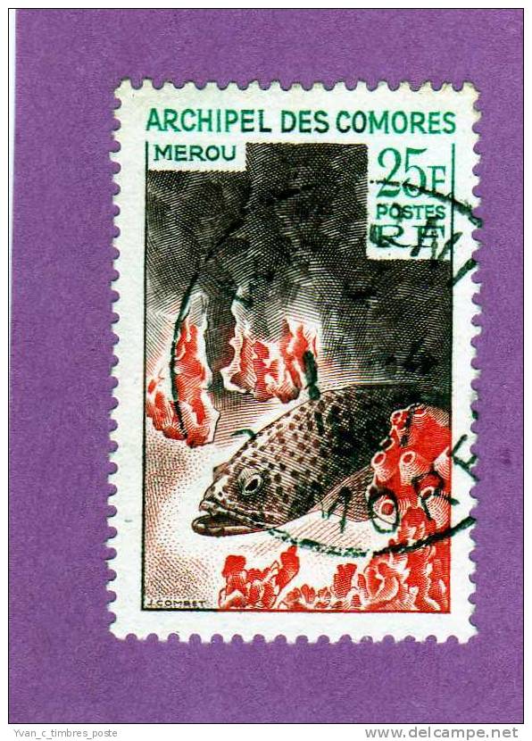 COLONIES FRANCAISES COMORES TIMBRE N° 38 OBLITERE FAUNE MARINE LE MEROU - Sonstige & Ohne Zuordnung