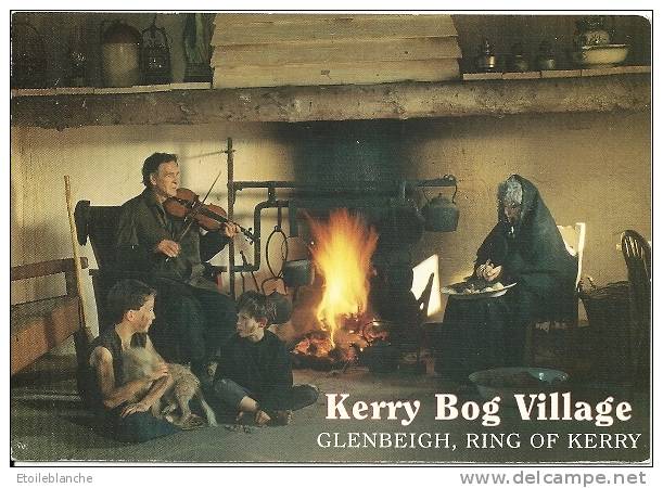 IRLANDE, Ireland, Glenbeigh, Ring Of Kerry / Kerry Bog Village / Music, Fire / Musique, Feu De Cheminée, Violon - Kerry