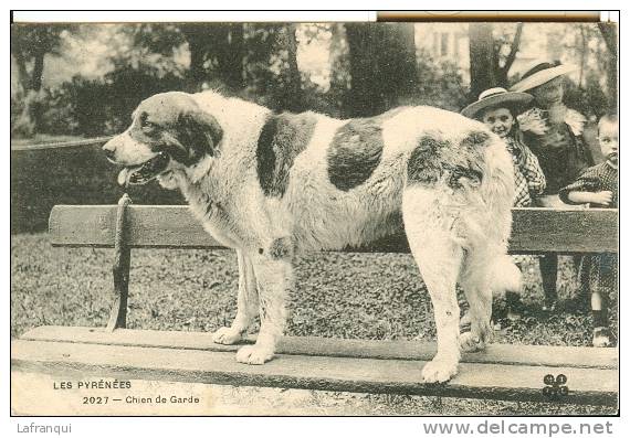 Chiens- Chien -ref 149- Les Pyrenees - Chien De Garde   - Carte Bon Etat - - Cani