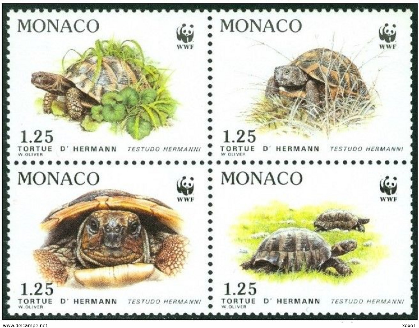 Monaco 1991 MiNr. 2046 - 2049 Reptiles Turtles Hermann's Tortoise WWF   4v  MNH** 5,00 € - Ongebruikt