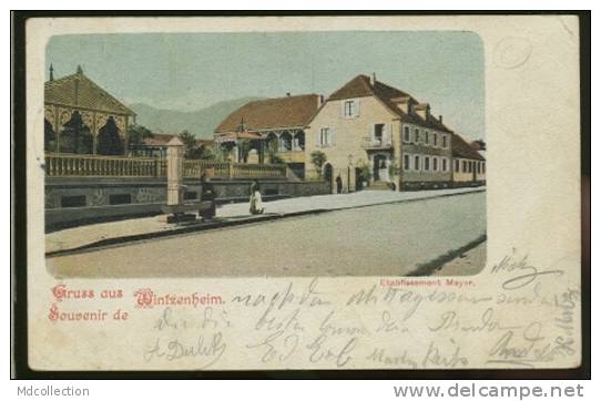 68 WINTZENHEIM / Gruss Aus Wintzenheim / FELDPOSTKARTE CARTE COULEUR - Wintzenheim