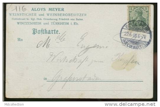 68 WINTZENHEIM / Gruss Aus Wintzenheim / FELDPOSTKARTE CARTE COULEUR - Wintzenheim