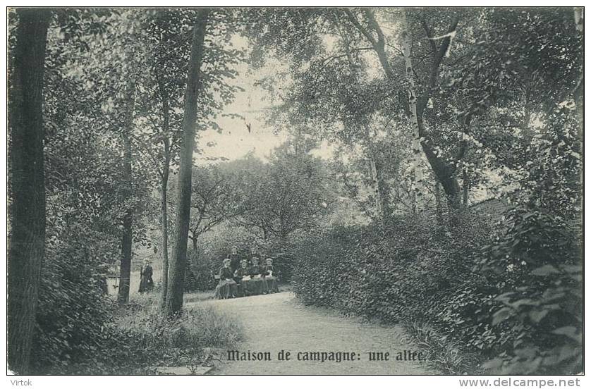 Ixelles :  Arbre Bénit  :  Maison De Campagne : Une Allée     ( Carte Ecrit 1910 Avec Timbre ) - Elsene - Ixelles