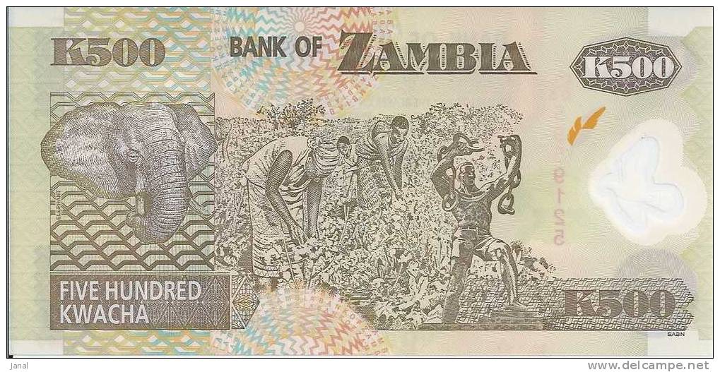 -  BANQUE DE ZAMBIE - 500 KWACHA - 2008 - - Zambia