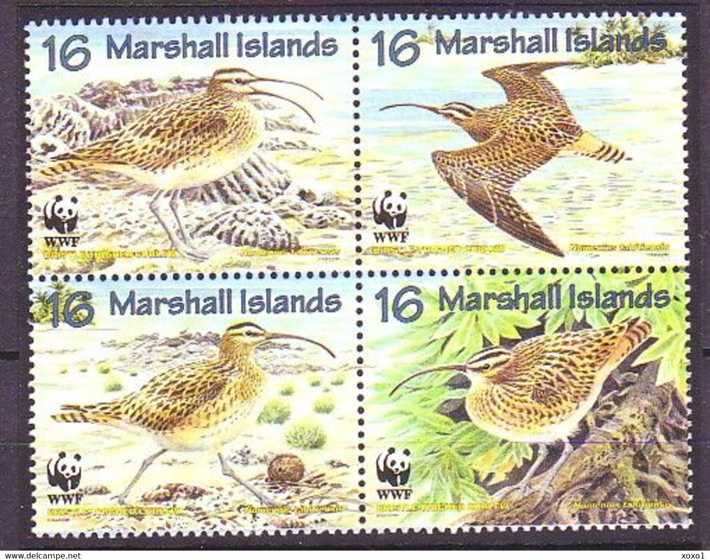 Marshall Islands 1997 MiNr. 830 - 833 Vogel Birds Bristle-thighed Curlew WWF  4v   MNH**  3,20 € - Marshallinseln