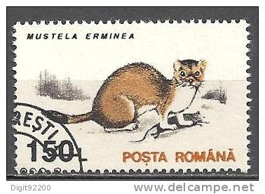 1 W Valeur Oblitérée,used - ROUMANIE - MUSTELLA ERMINEA - N° 1262-9 - Rodents