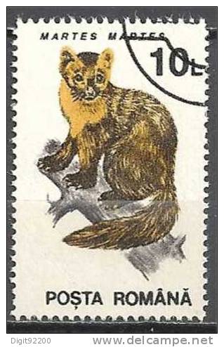 1 W Valeur Oblitérée,used - ROUMANIE - MARTES MARTES - N° 1262-13 - Rodents