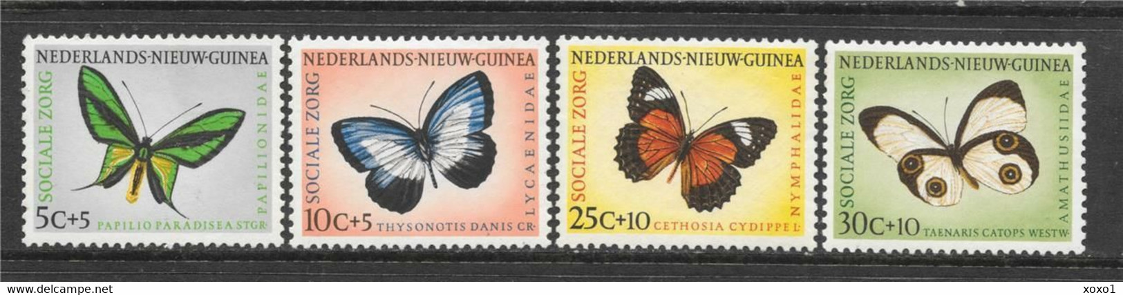 Netherlands New Guinea 1960 Niederländisch-Neuguinea  MiNr. 63 - 66 Butterflies Insects 4v 1960 MNH** 5,50 € - Nederlands Nieuw-Guinea