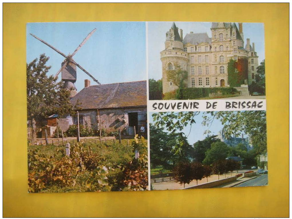 49-211) Brissac : Multivues:chateau,moulin Du Pave,square Jeanne Say - Autres & Non Classés