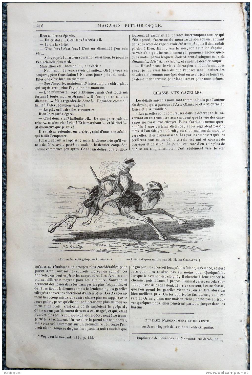 LE MAGASIN PITTORESQUE - JUIL 1842 - N°27 : PRATOLINO TOSCANE - TRAVERSEE LE HAVRE HONFLEUR - DROMADAIRE AU GALOP - - 1800 - 1849