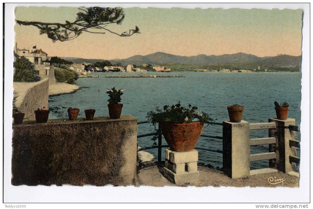 LES LEQUES-PLAGE Le Bord De La Mer - Les Lecques