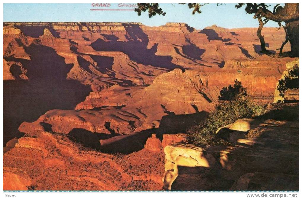 6975    Stati  Uniti    Grand  Canyon  National  Park  Arizona  NV - Gran Cañon