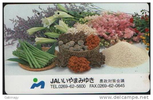 MUSHROOM - JAPAN - H210 - Alimentation