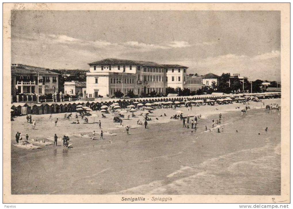 1937 SENIGALLIA - Senigallia