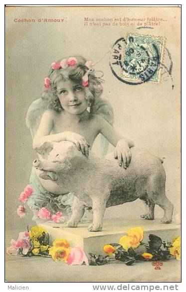 Animaux- Volaille  -ref 416- L Ange - Theme Anges   - Carte Bon Etat - - Varkens