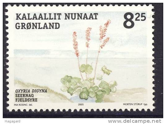 #Greenland 2005. Flower. Michel 456. MNH(**) - Unused Stamps