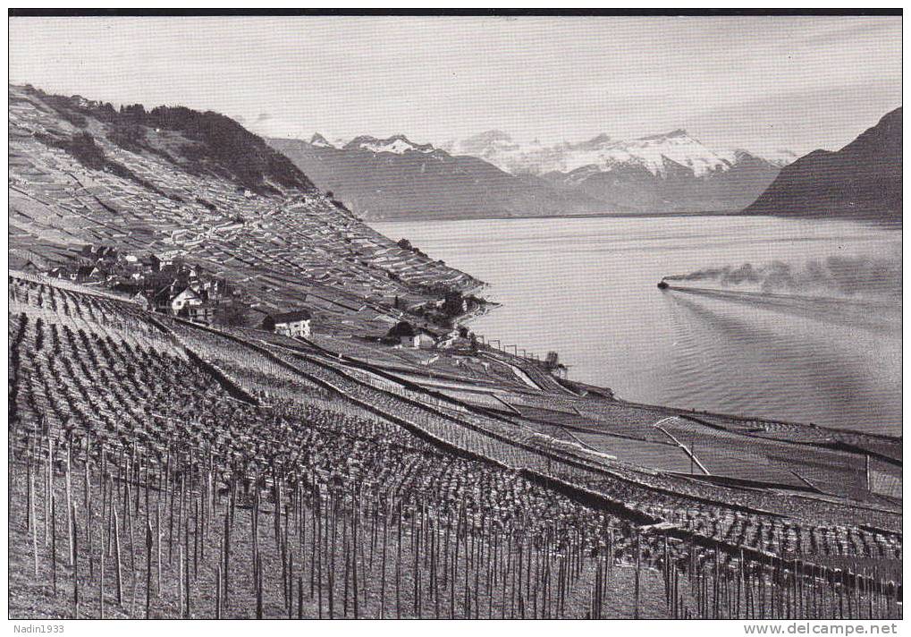 LAVAUX PRE DE RIEX - Riex