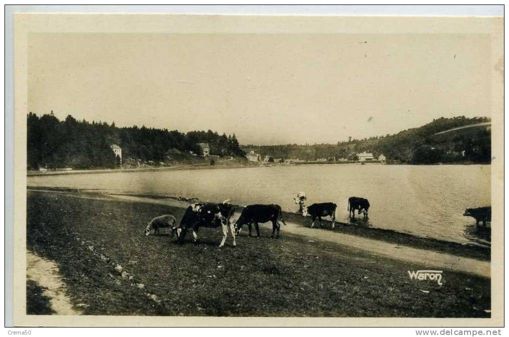 22 - JUGON - Vue Générale Et L'étang - Jugon-les-Lacs