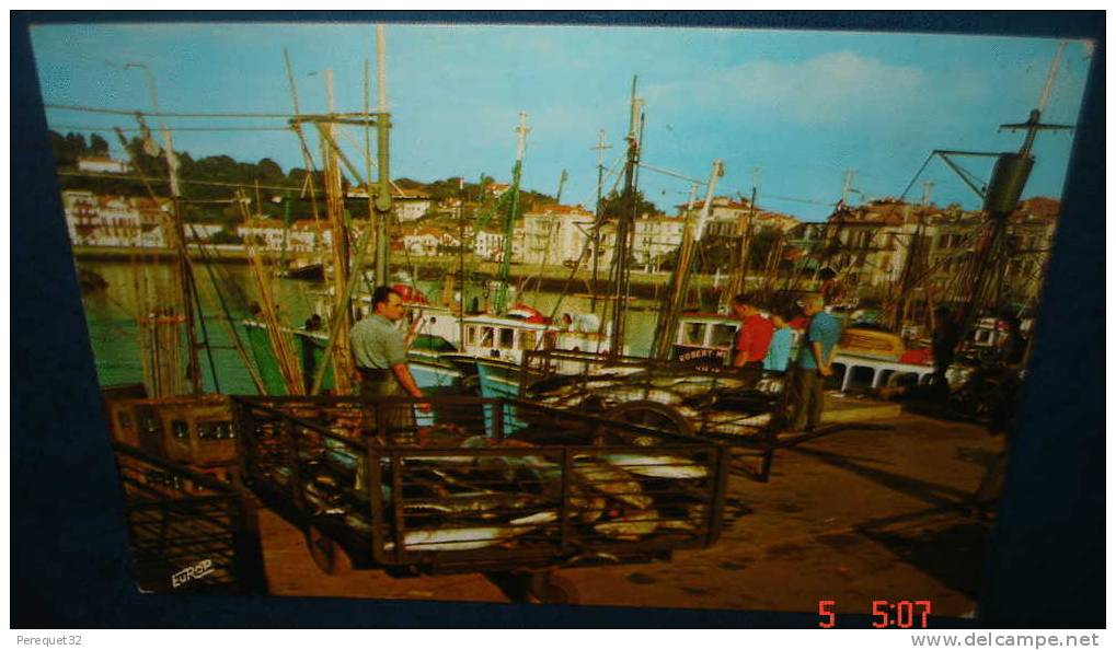 SAINT JEAN DE LUZ.,apres Le Débarquement Des Thoniers.Cpsm,voyagé,be,a Nimée - Fische Und Schaltiere