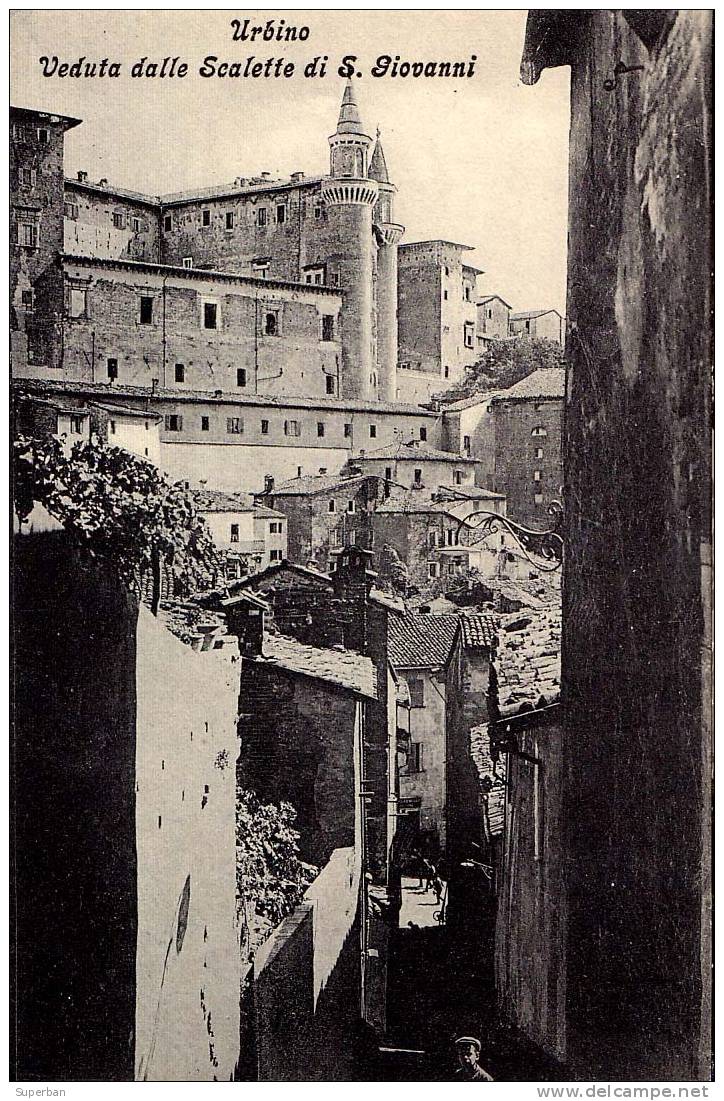 URBINO : VEDUTA DALLE SCALETTE Di S. GIOVANNI - ANNÉE : ENV. 1910 (f-054) - Urbino