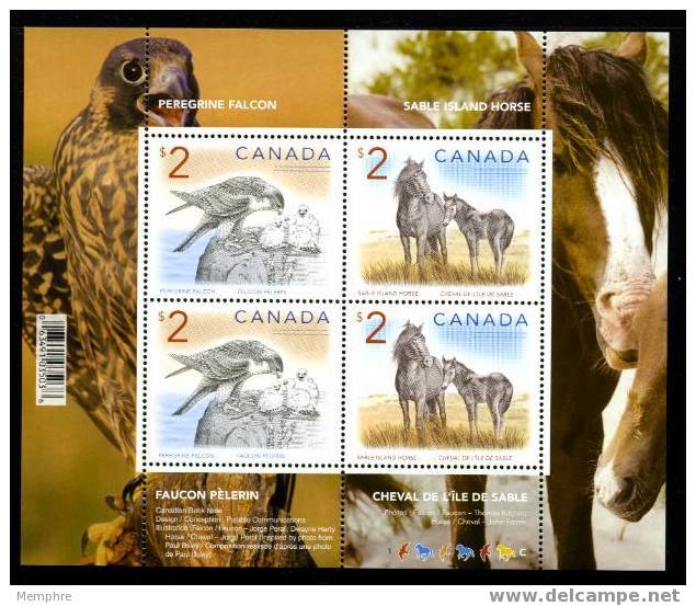 CANADA 2005  Animaux: Cerf, Morse, Faucon, Cheval - Oblitérés