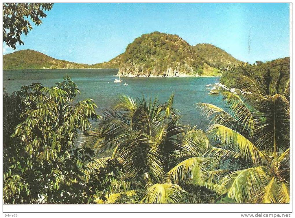 SAINT-BARTHELEMY-AUX SAINTES - Saint Barthelemy