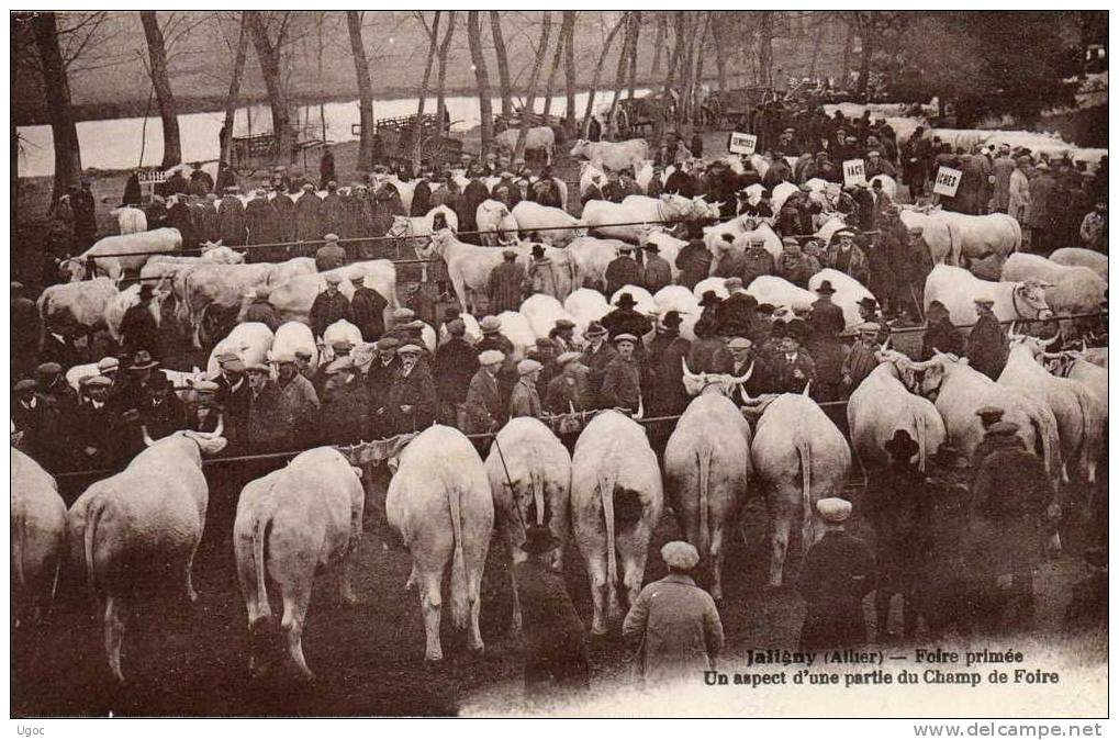 CPA - 03 - JALIGNY - Foire Primée - Un Aspect D'une Partie Du Champ De Foire - 487 - Autres & Non Classés