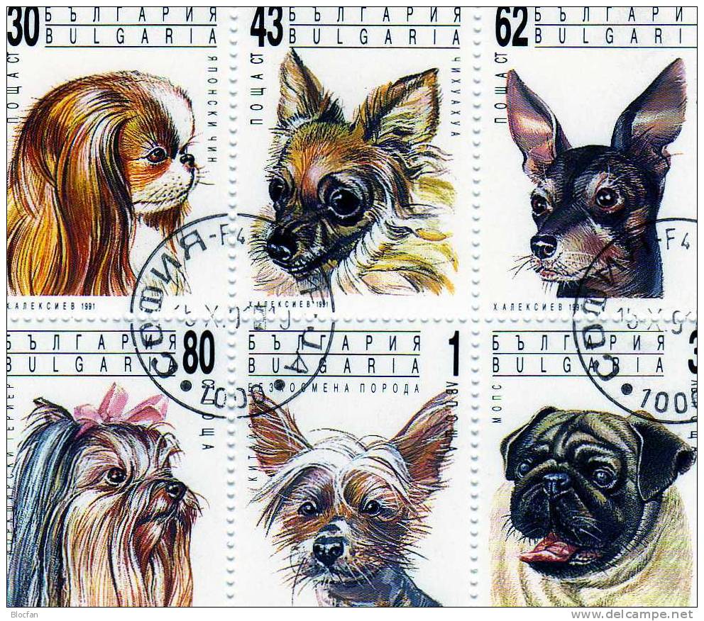 WWF Naturschutz 1991 Hunde-Rassen Varianten Bulgarien 3929/4,9ZD+6Block O 24€ Terrier Mops Pekinese Hb Sheet Bf BULGARIA - Usati