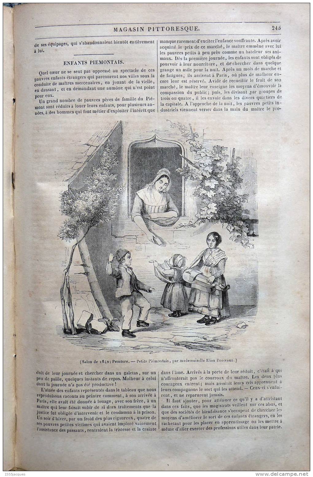 LE MAGASIN PITTORESQUE - JUIL 1842 - N°31 : CEYLAN DENT BOUDDHA - PIEMONT - FONTAINE MAYENCE - - 1800 - 1849