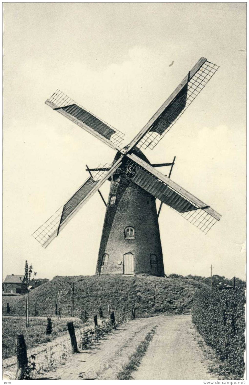 Retie - De Windmolen 1675 - Retie