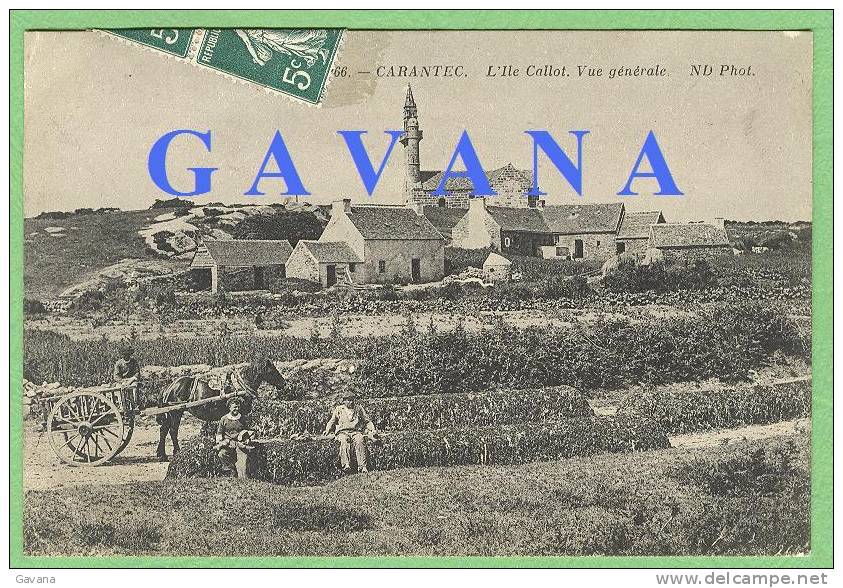 29 CARANTEC - L'Ile Callot. Vue Générale - Carantec