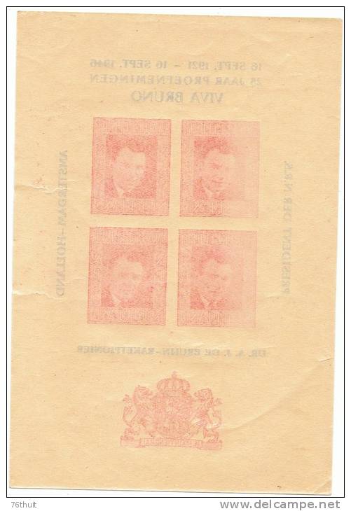 Rare! 1946 - NEDERLAND PAYS BAS - Vignettes -   "VIVA BRUNO" -- Dr A. J. DE BRUIJN - President Der N.R.S. - Errors & Oddities