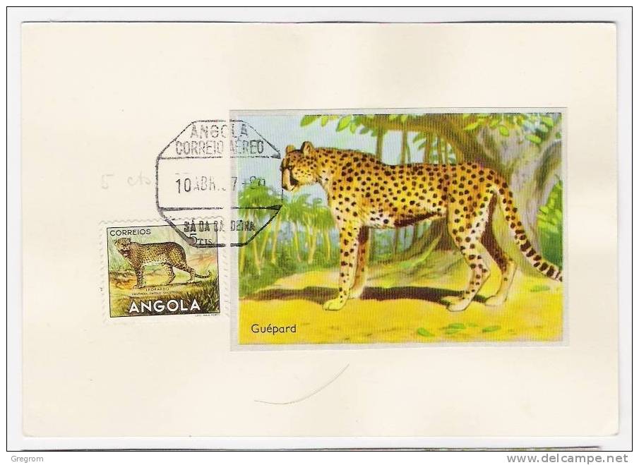 ANGOLA , Yt 357 Léopard ,  Guépard ( Félins ) - Angola