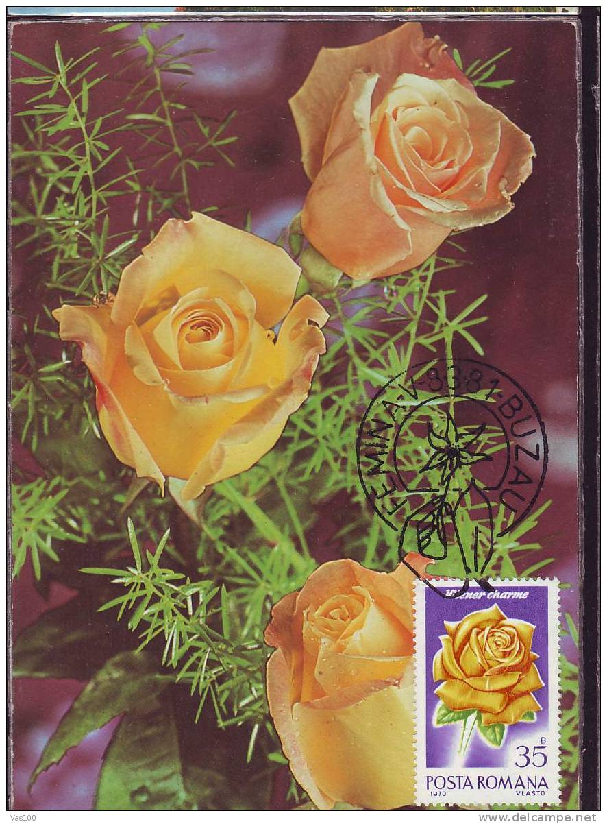 ROMANIA 1981 MAXICARD MAXIMUM CARD,with Roses.(K) - Roses