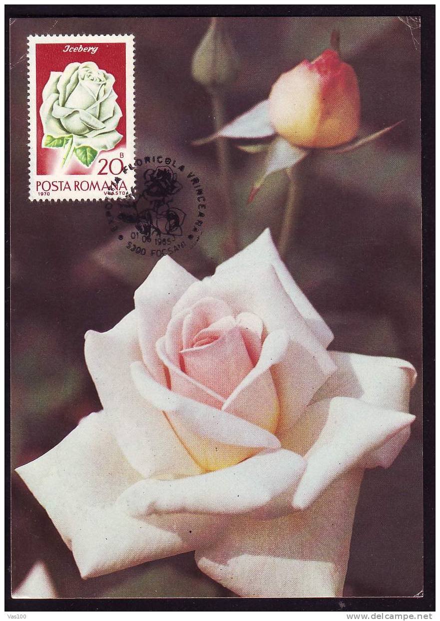 ROMANIA 1985 MAXICARD MAXIMUM CARD,with Roses.(M) - Roses