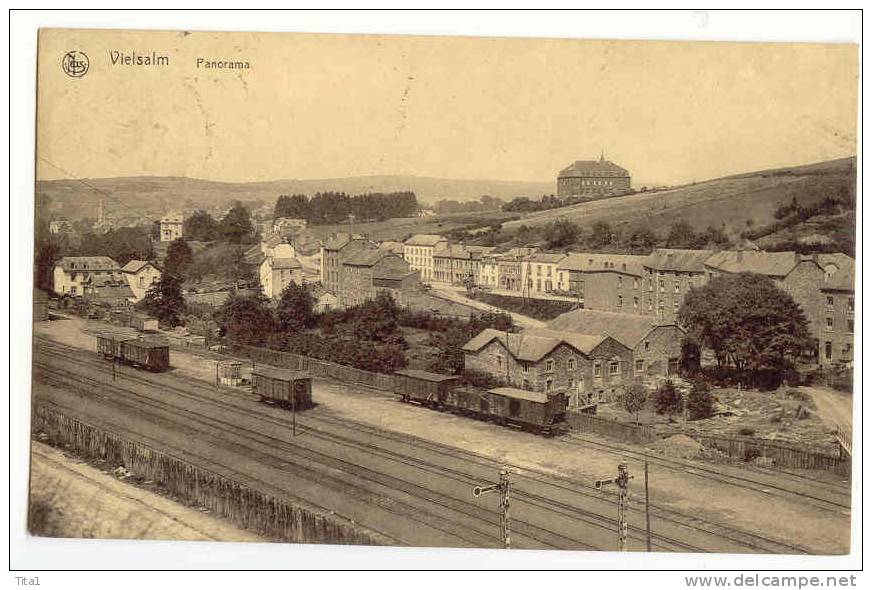 D1164 - Vielsalm - Panorama  "gare" - Vielsalm