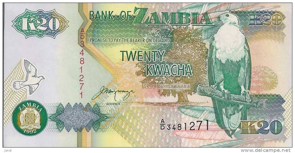 - AFRIQUE - ZAMBIE - ZAMBIA - K 20  - TWENTY KWACHA - - Zambia