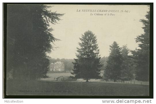 76 LA NEUVILLE CHANT D'OISEL /          Le Château Et Le Parc       / - Autres & Non Classés