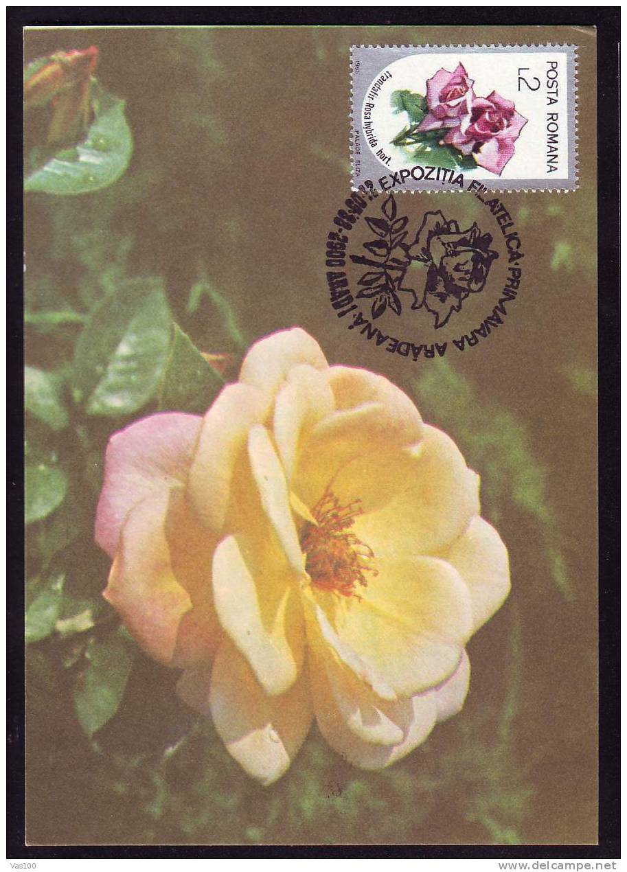 ROMANIA 1988 MAXICARD MAXIMUM CARD,with Roses.(C) - Roses