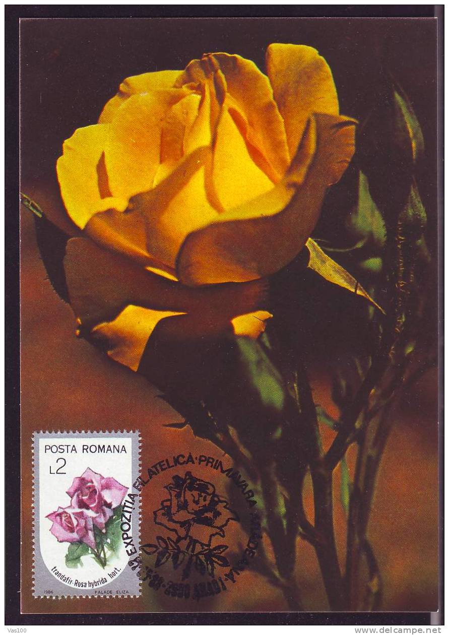 ROMANIA 1988 MAXICARD MAXIMUM CARD,with Roses.(E) - Rosen