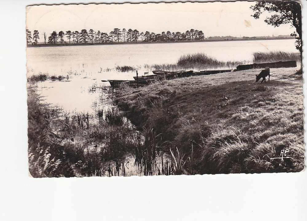 BOIS D'ARCY - L'Etang De SAINT QUENTIN - N°  9 805 - Bois D'Arcy