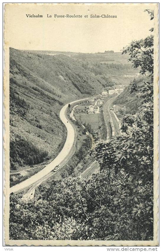 Vielsalm : La Fosse-Boulette Et Salm Chateau - Vielsalm