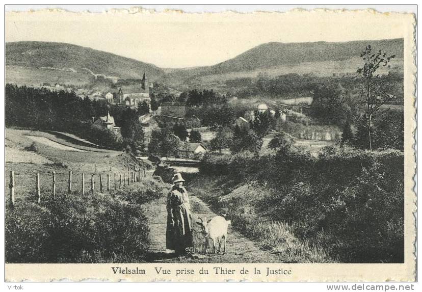 Vielsalm : Vue Prise Du Thier De La Justice  ( Chevre Geit ) - Vielsalm