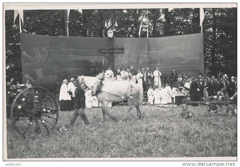 U 263* / 9 CARTES PHOTOS  - NORREY EN BESSIN (14) FETES DES LALABOURS  LE 28 AOUT 1938