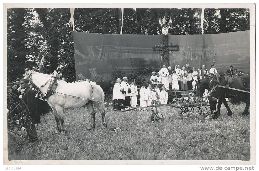 U 263* / 9 CARTES PHOTOS  - NORREY EN BESSIN (14) FETES DES LALABOURS  LE 28 AOUT 1938