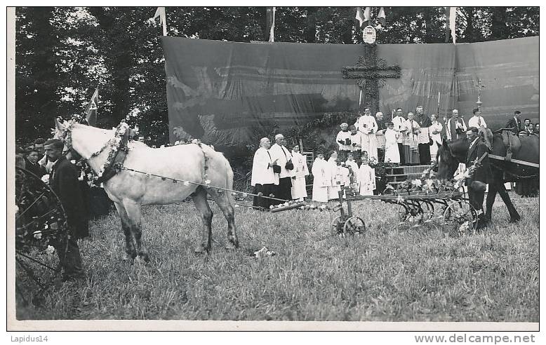 U 264 / 9 CARTES PHOTOS  - NORREY EN BESSIN (14) FETES DES LALABOURS  LE 28 AOUT 1938 - Autres & Non Classés