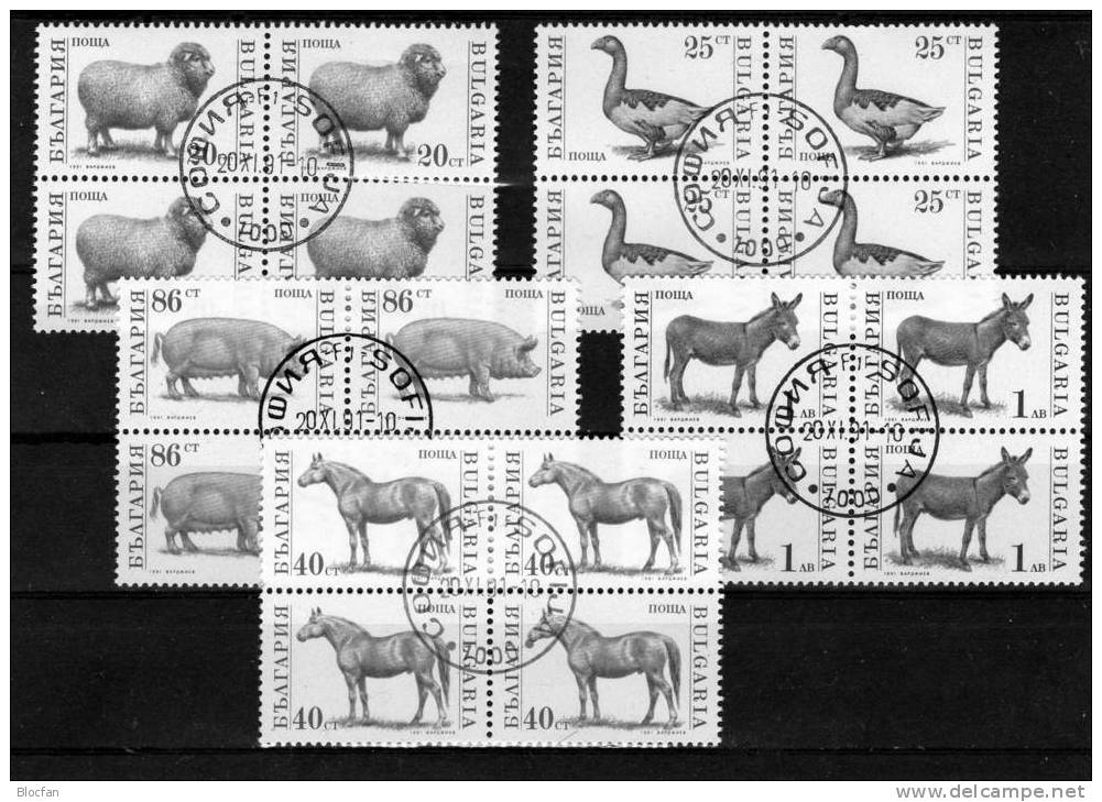 WWF 1991 Haustiere In Europa Bulgarien 3881/4,3885,3923/7,10x ZD+4-Block O 40€ Satz I-III Henne Ziege Pferd Set BULGARIA - Gebraucht