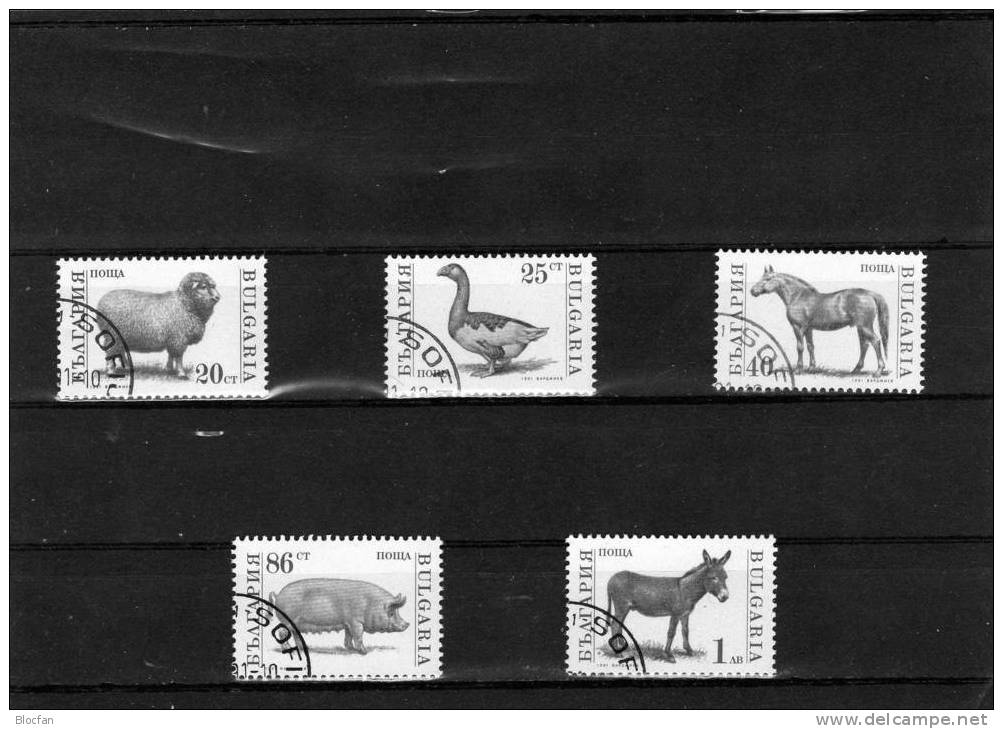 WWF 1991 Haustiere In Europa Bulgarien 3881/4,3885,3923/7,10x ZD+4-Block O 40€ Satz I-III Henne Ziege Pferd Set BULGARIA - Usati