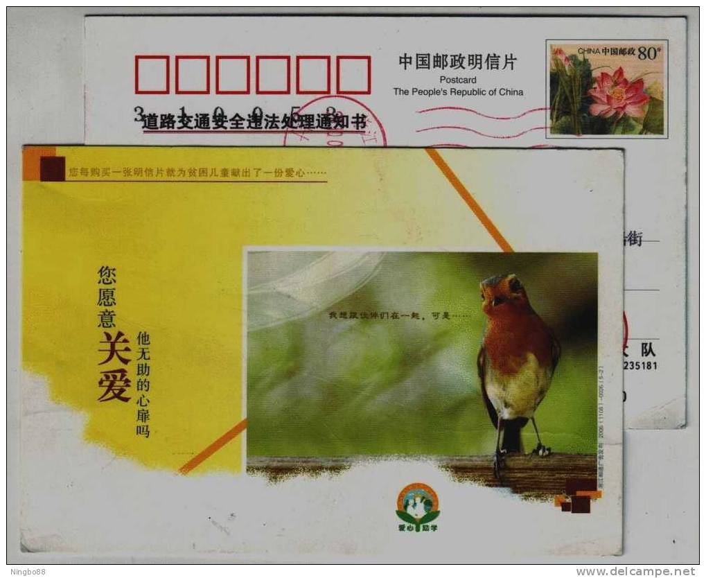 Alone Eurasian Siskin,China 2006 Zhejiang Help Schooing Advertising Postal Stationery Card - Cuckoos & Turacos
